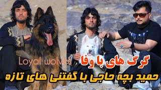 حمید بچه حاجی در تازه ترین گفتنی های خود شوقی ها را به چالش کشاند - Loyal wolves