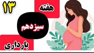 هفته سیزدهم بارداری|بارداری هفته به هفته|هفته ۱۳ بارداری|ماه چهارم بارداری|سه ماه دوم بارداری|باردار