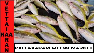 Pallavaram Meenu Market | Fish Market in Pallavaram | pks fish market pallavaram | kutti kasimedu