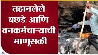 Ahmednagar | बिबट्याच्या बछड्याला पाणी पाजतानाचा व्हिडिओ व्हायरल - tv9