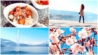 MY calm MORNING | Cherry blossom in Zug | Healthy Breakfast | Natalia S Ustinova