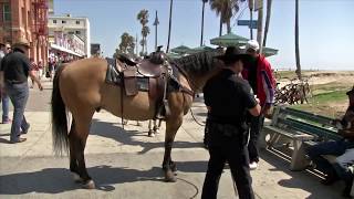 LAPD Mounted Police Unit