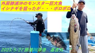 外房勝浦沖のモンスター巨大魚「イシナギ」を狙って・・・結果は・・・ちょっとお恥ずかしい感じになりました。勝浦川津港　基吉丸さんから