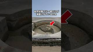 魔改造された「沖ノ鳥島」の裏事情