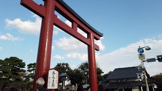 【4K】ほのぼの散歩  鎌倉散歩  Kamakura walk around