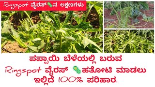 #Ringspot ಪಪ್ಪಾಯಿ ಬೆಳೆಯಲ್ಲಿ  ಹೆಚ್ಚು ವೈರಸ್ ಸಮಸ್ಯೆ ಕಾಡುತ್ತಿದ್ದಿಯಾ|How to Control Papayi Ringspot Virus