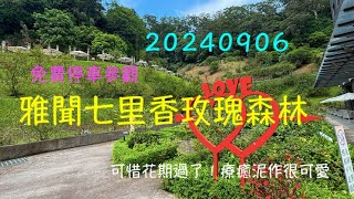 萬ㄟeye台灣20240906雅聞七里香玫瑰森林～療癒泥作   4K