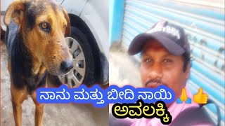 ನಾನು ಮುತ್ತು ಬೀದಿ ನಾಯಿ ಅವಲಕ್ಕಿ  just for funny video ಕನ್ನಡ🙏🙏🙏🙏🙏🙏👍👍