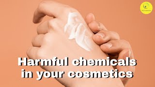 Harmful Toxic Chemicals In Cosmetics And Beauty Products To Avoid and Skin Care