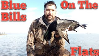 Bluebills On The Susquehanna Flats (Kayak Hunting)