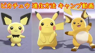 【ピチュー → ピカチュウ → ライチュウ】進化方法 攻略 + キャンプで遊ぶ【ポケモン ソード シールド ポケモン剣盾】