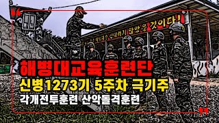 해병대교육훈련단 신병 1273기 5주차 극기주 교육훈련