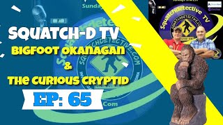 👉Bigfoot Okanagan & The Curious Cryptid | Squatch-D TV Ep. 65: