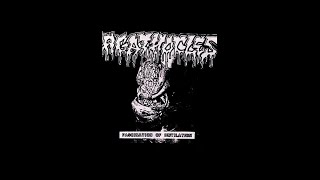 AGATHOCLES / \