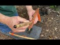 the secret to much easier bow drill embers