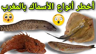 احذر من أشواك و أسنان هذه الأسماك فهية خطيرة جدا