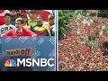 Maduro Closes Venezuelan Border As Soldiers Clash With Protesters | MSNBC