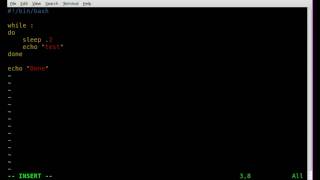 While Loop Review - BASH - Linux