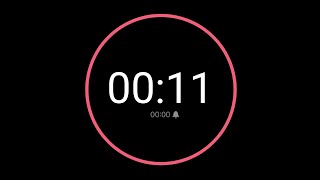 11 Second Countdown Timer / iPhone Timer Style