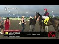 woodbine tbred july 20 2023 race 8