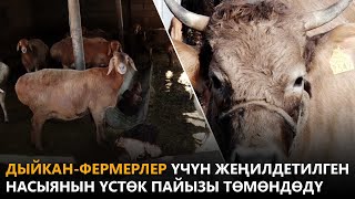 Дыйкан-фермерлер үчүн жеңилдетилген насыянын үстөк пайызы төмөндөдү