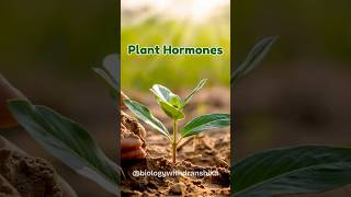 Plant hormones: Natural chemical  agents to regulate growth, development, and responses to stimuli.