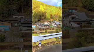 鉄道廃線（県道１５号線）側からの山村風景（水俣市有木）