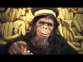 Orbant Serti Ez A Majmos Video Vicces Videok 11 Orbant Serti Ez A Majmos Video Vicces Videok 11