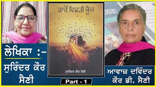 Novel - Daaron Vichhrhi Koonj | ਡਾਰੋਂ ਵਿਛੜੀ ਕੂੰਜ By- Surinder Kaur Saini | (Punjabi Novel) Part - 1