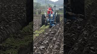 Ferguson FE35 at Hereford Ploughing Association Match 23rd April 2023