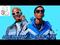 Mellow & Sleazy X SjavasDaDeejay  - Udriver (Revist Mix)