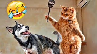 You Laugh You Lose👋😜Funniest Dogs and Cats 2024😽🐶