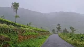 Upcot - Maskeliya Road | Wala Theerayen Eha | වලා තීරයෙන් එහා