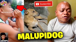 😂 MALUPIDOG | TRY NOT TO LAUGH 2025 | Jover Reacts