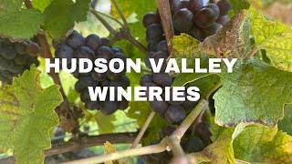 Weed Orchards Winery And Ribiero Vineyard | Weed Orchards \u0026 Winery 2022 | Family Travel Vlog