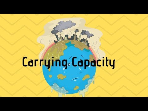 Which of the following factors would have the least effect on the carrying capacity of an ecosystem?
