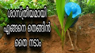 ശാസ്ത്രീയ രീതിയിൽ  തെങ്ങിൻ തൈകള്‍ നടാം | Scientific method of Coconut seedling planting