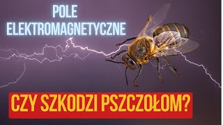 Czy pole elektromagnetyczne szkodzi pszczołom?