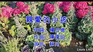 蘇芮 親愛的小孩(KTV動態歌詞)