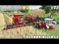 Harvesting wheat, making bales, selling soybean straw | Slovak Village | FS 19 | Timelapse #22