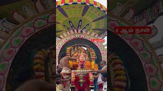 திருவண்ணாமலை தீபம் திருவிழா 8ஆம் நாள் குதிரை வாகனம் #thiruvannamalai #2024_ #festival #deepam