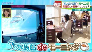 水族館で「モーニング」　“貸し切り状態”で開館前しか見られない光景も　名古屋港水族館