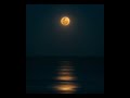 Amina Rose- Moonlight