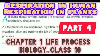 respiration in human | respiration in plants class 10 Life process Part 4