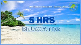 🔴[No Copyright] 5 hrs Relaxing Music: Sleeping,Spa, Insomnia, Soothing by Silkroute Background Music