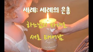 가톨릭교회교리서/ 제69강/ 견진(신비)교리. 10 /1262-1284항/ 세례의 은총: 하느님의 자녀로 새로 태어남/ 전삼용 요셉 신부