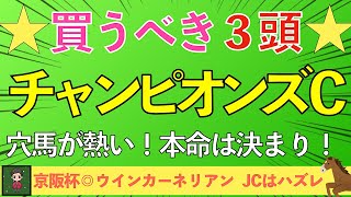 【2024 チャンピオンズカップ】絶対に買う３頭！２ケタ人気の大穴で百万馬券まで狙う！