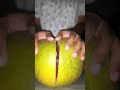 കമ്പിളി നാരങ്ങ shortsfeed food fruit shorts