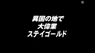 ２００１年　第４回　ドバイシーマC　G２　　#ステイーゴールド