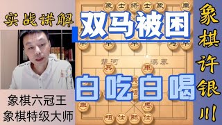 许银川特大：对方有点贪吃，两个马都被我困住，白吃白喝两个马